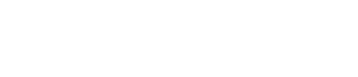 Parsoninn logo
