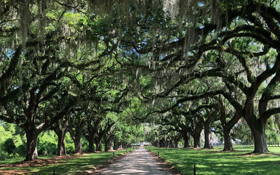 Noone Hall Charleston